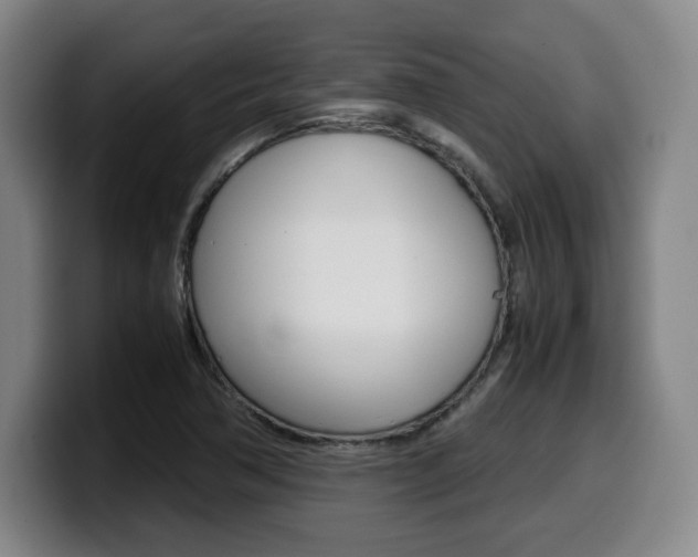 X0000099471362200805090805