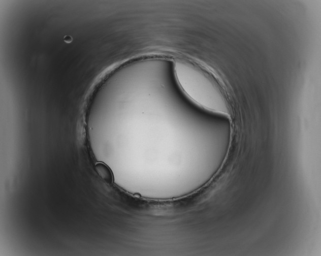 X0000099471363200805090805