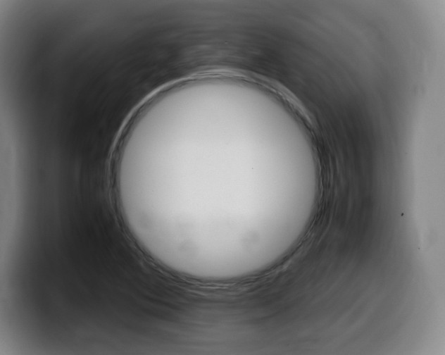 X0000099471364200805090805