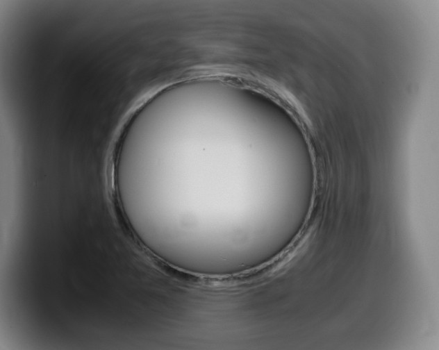X0000099471365200805090805