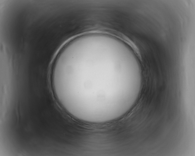 X0000099471368200805090805