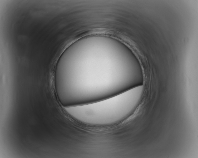 X0000099471369200805090805