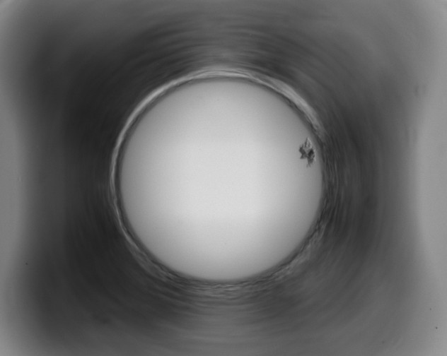 X0000099471372200805090805