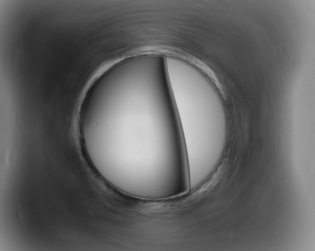 X0000099471373200805090805