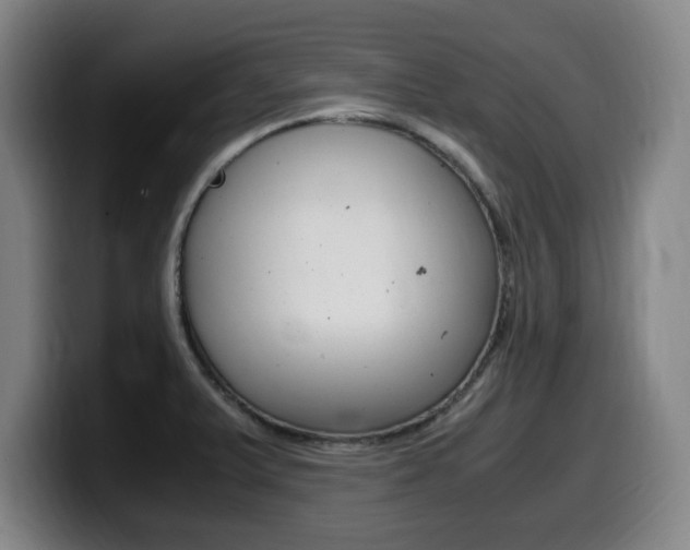 X0000099471375200805090805