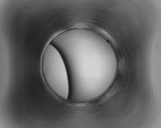 X0000099471378200805090805