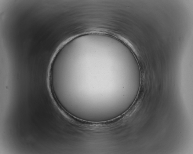 X0000099471379200805090805
