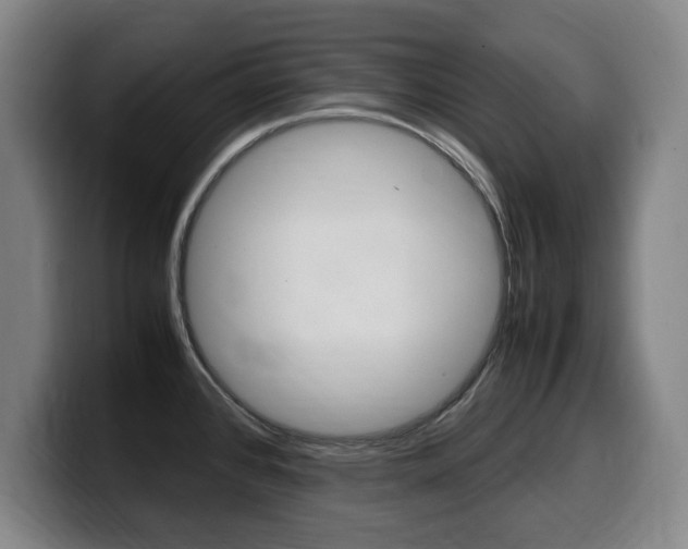 X0000099471384200805090805