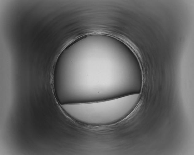 X0000099471385200805090805