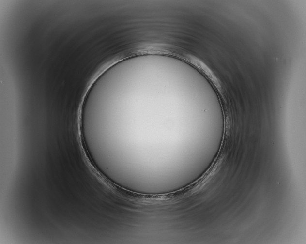 X0000099471386200805090805