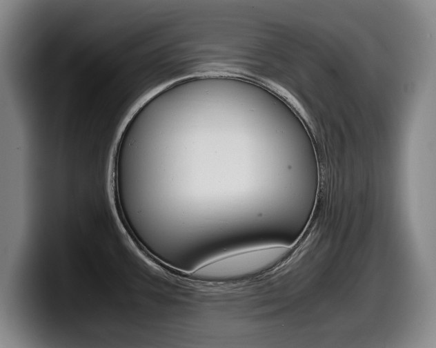 X0000099471387200805090805