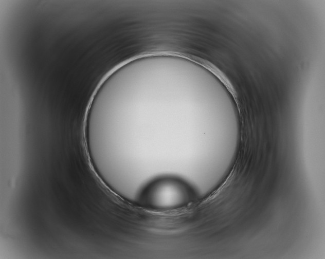 X0000099471388200805090805