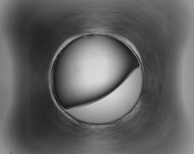 X0000099471389200805090805