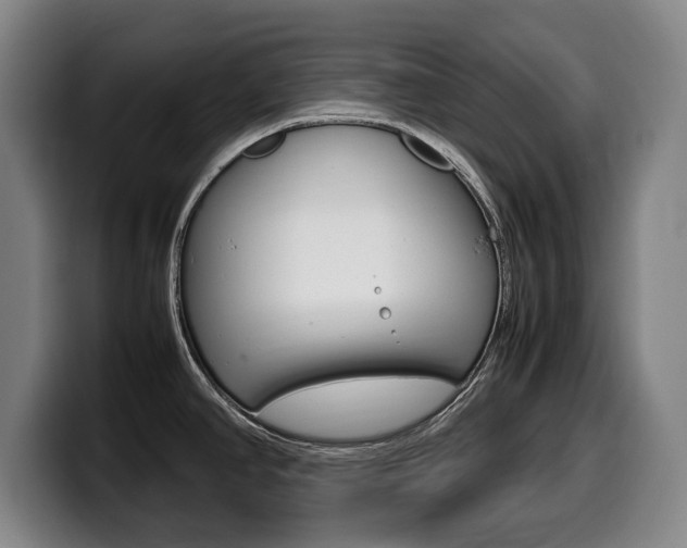 X0000099471390200805090805