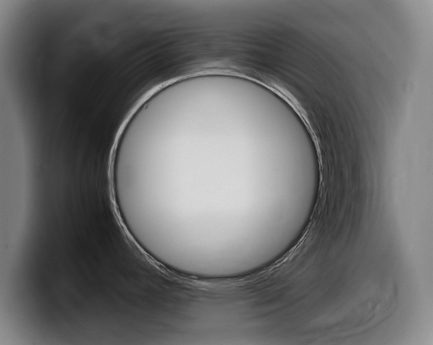 X0000099471392200805090804
