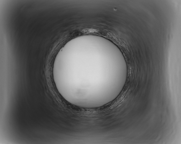 X0000099471393200805090804
