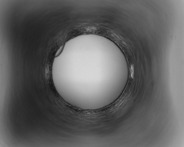 X0000099471395200805090804