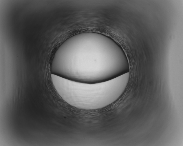 X0000099471397200805090804