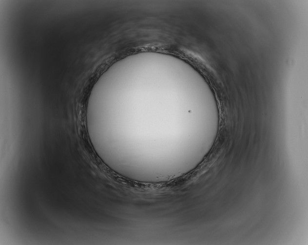 X0000099471399200805090804