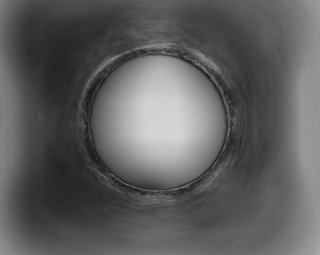 X0000099471400200805090804