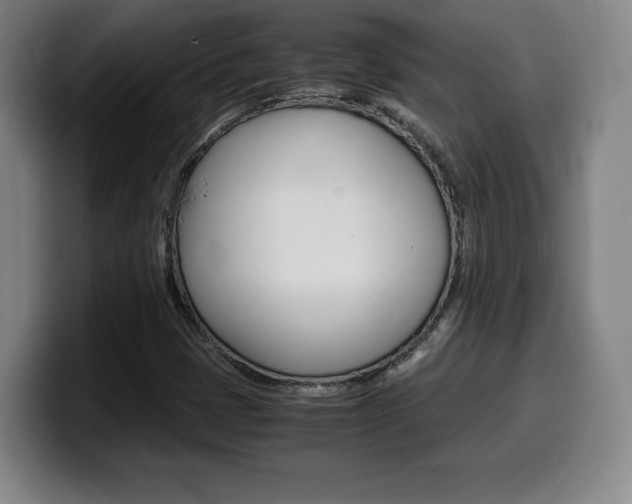 X0000099471401200805090804