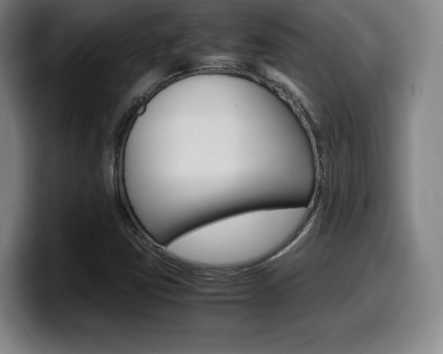 X0000099471403200805090804