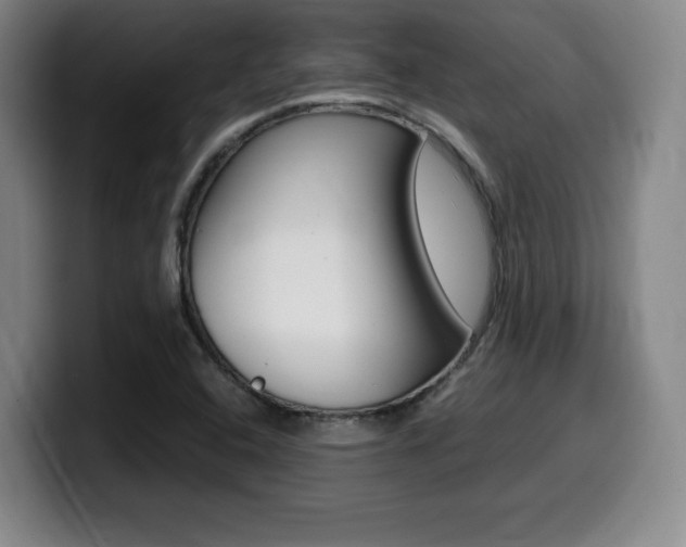 X0000099471408200805090804
