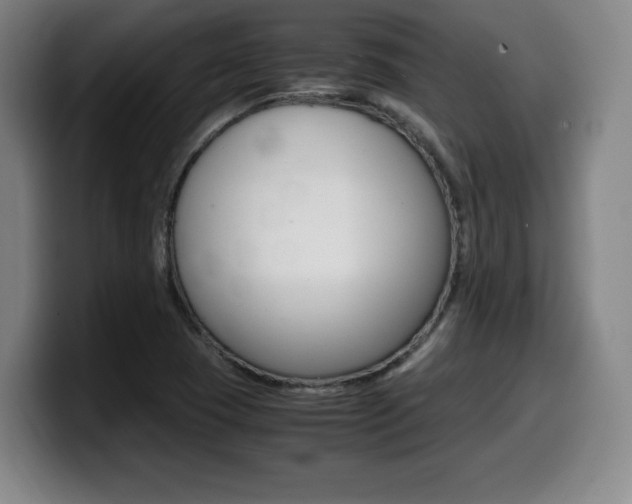 X0000099471409200805090804