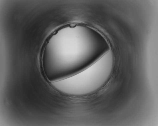 X0000099471412200805090804