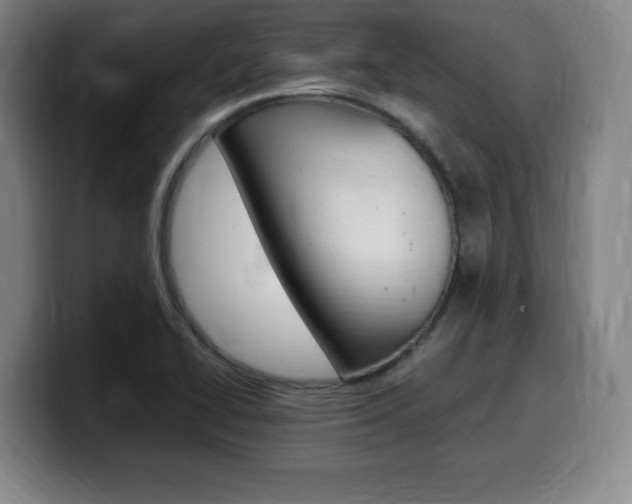 X0000099471414200805090804