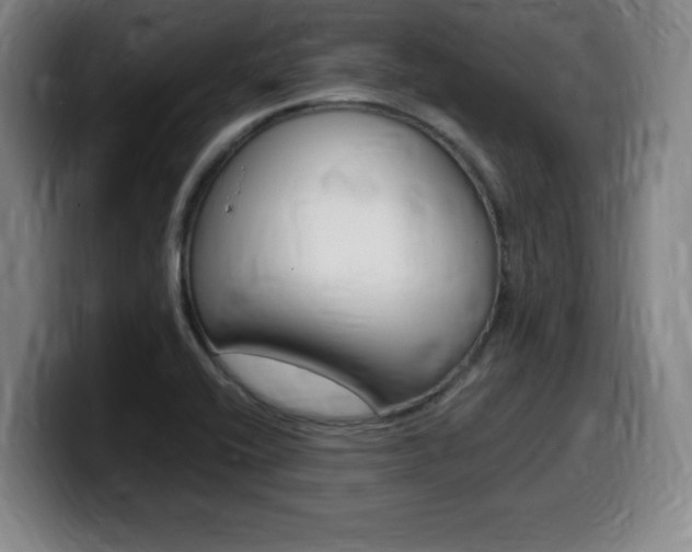 X0000099471416200805090804