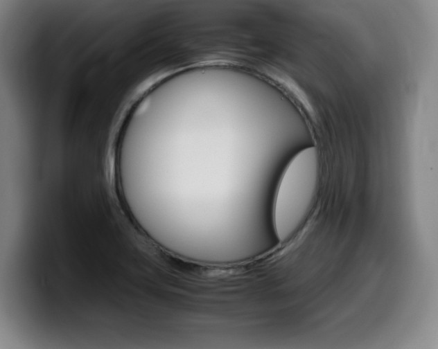 X0000099471419200805090804