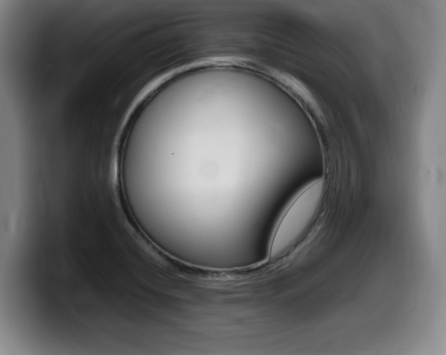 X0000099471420200805090804