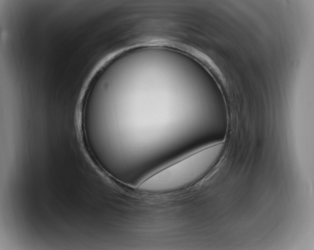 X0000099471424200805090804