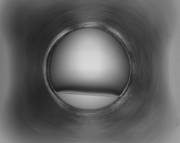 X0000099471426200805090804