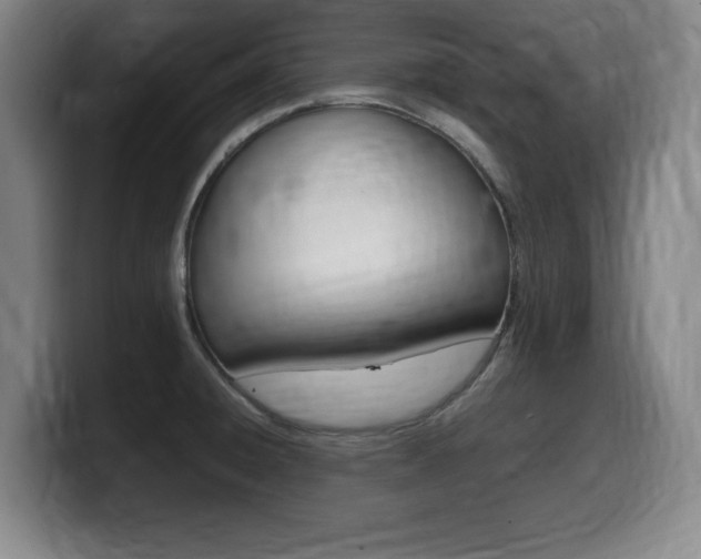 X0000099471428200805090804
