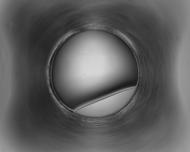 X0000099471434200805090804