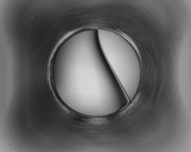 X0000099471437200805090804