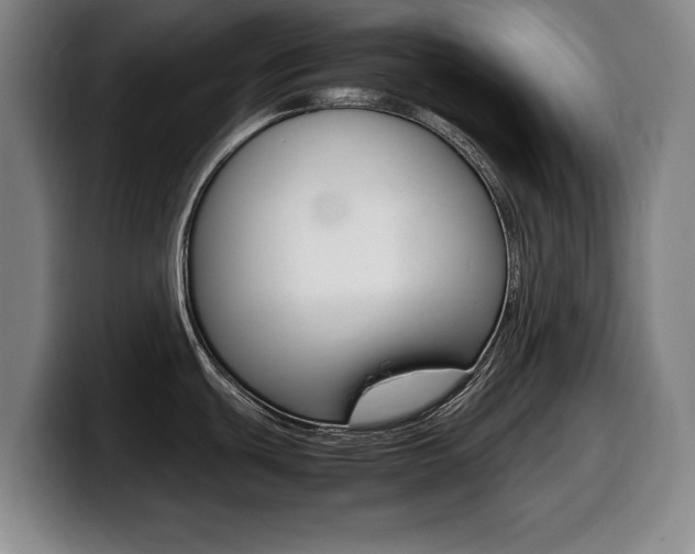 X0000099471439200805090804