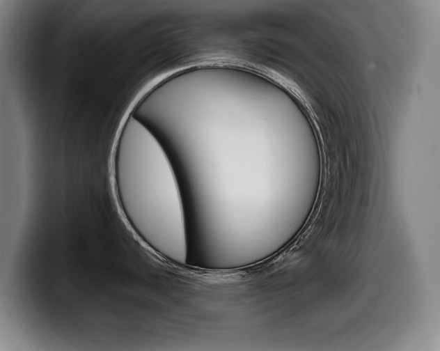 X0000099471440200805090804