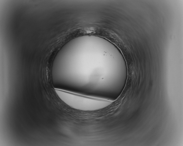 X0000099471442200805090804