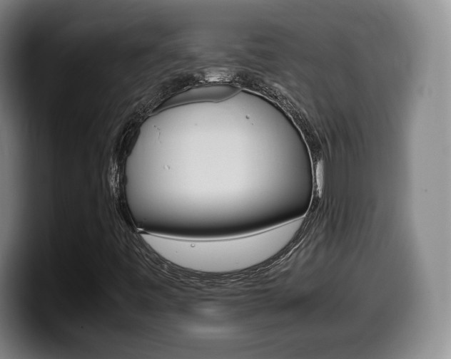 X0000099471443200805090804