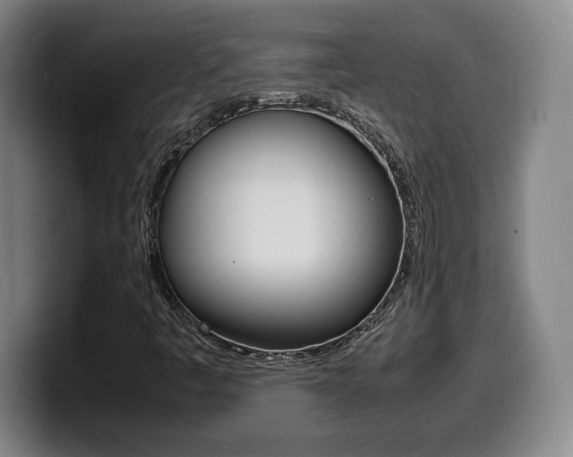 X0000099471445200805090804