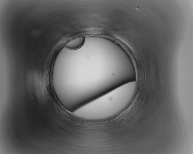 X0000099471451200805090804