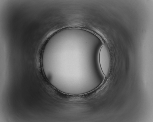 X0000099471455200805090804