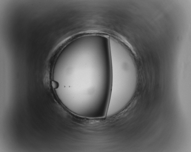 X0000099471456200805090804