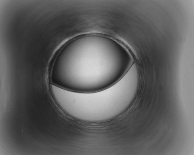 X0000099471460200805090804