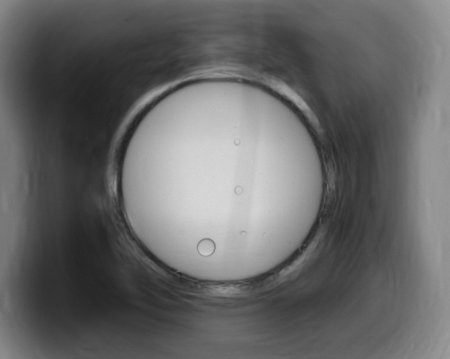 X0000099471462200805090804