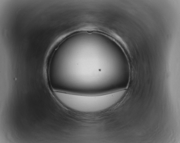 X0000099471464200805090804