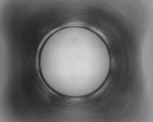 X0000099471470200805090803